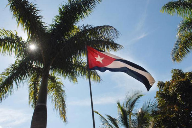 Cuba bandera palma