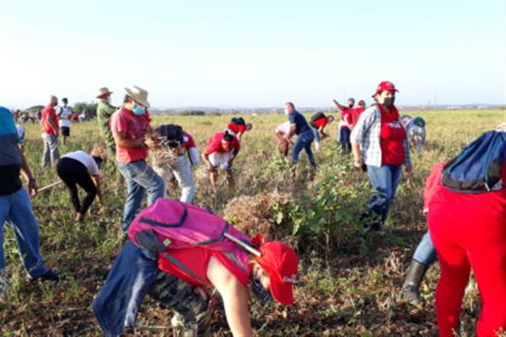 Trabajo_voluntario_