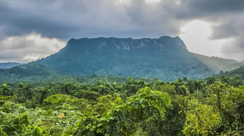  Baracoa 