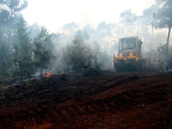 Guardabosques y las FAR enfrentan en Mayarí incendio de grandes proporciones