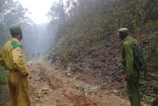 Incendios forestales