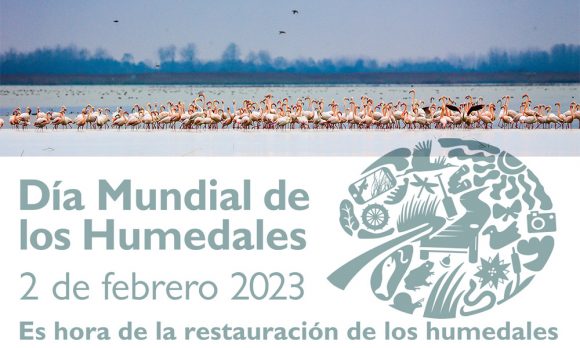 Día Mundial de los Humedales