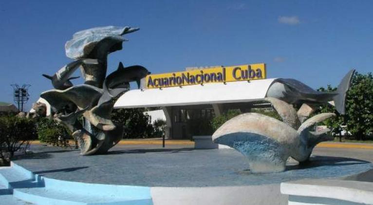 Festival del Arrecife en el Acuario Nacional de Cuba