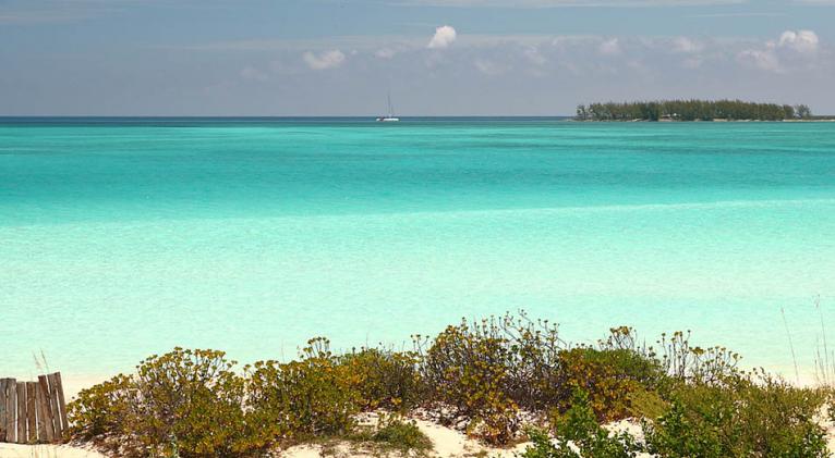 Conservan dunas de Playa Pilar, Cayo Guillermo, por Día Mundial del Medio Ambiente