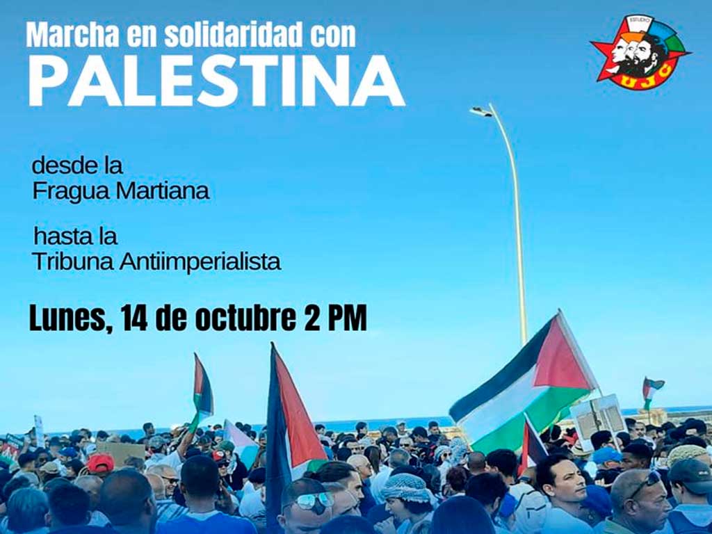 Marchará hoy en solidaridad con Palestina