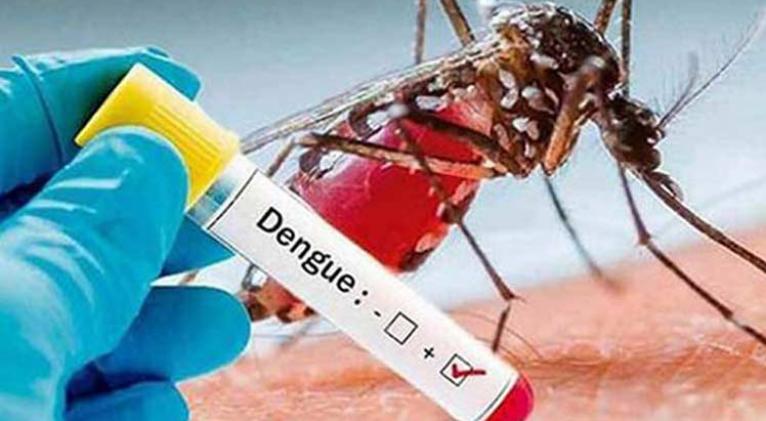 control del dengue