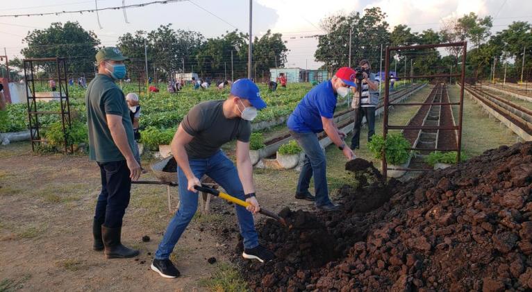 Díaz-Canel en trabajo voluntario