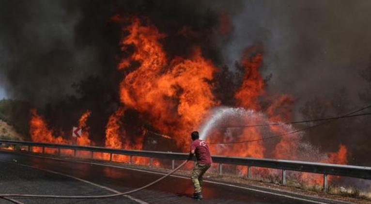 Incendios forestales