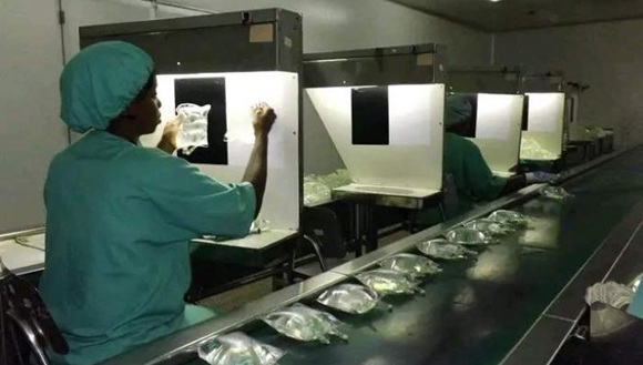 Foto: Laboratorio Farmacéutico Oriente.