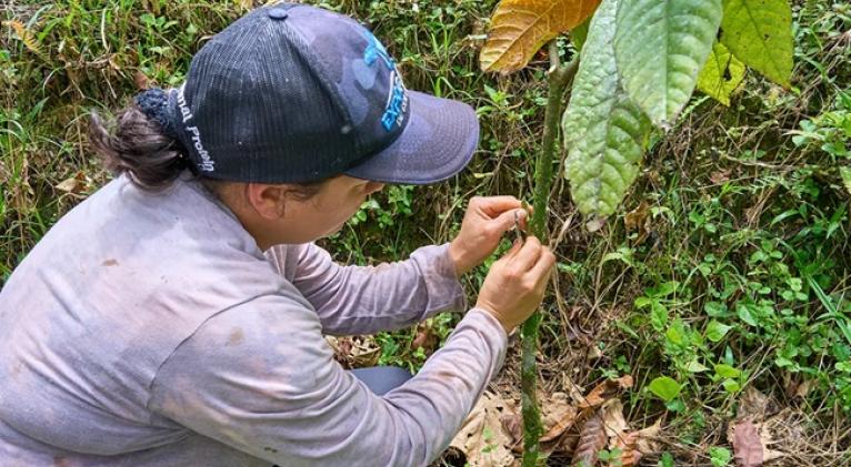 Día Internacional de las Mujeres Rurales