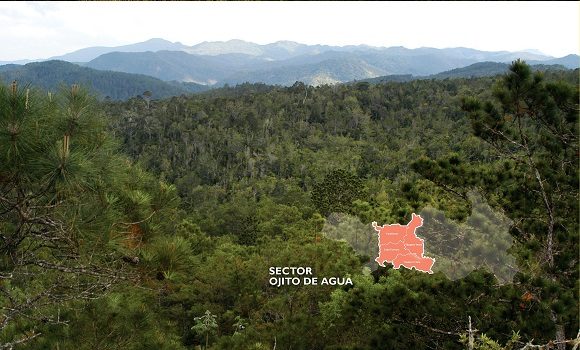 Sector Ojito de Agua, el área más afectada por el incendio. Foto: Julio Larramendi / Facebook.