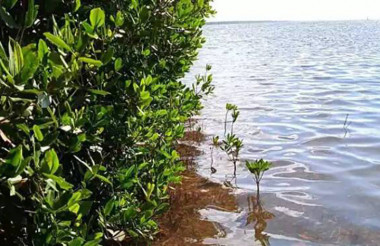 Villa Clara protege costas con gobernanza climática
