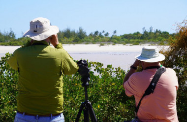 Aviturismo en Cayo Coco
