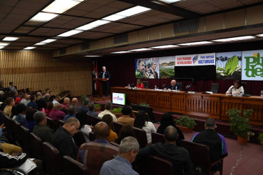 Fructíferos plenos del PCC