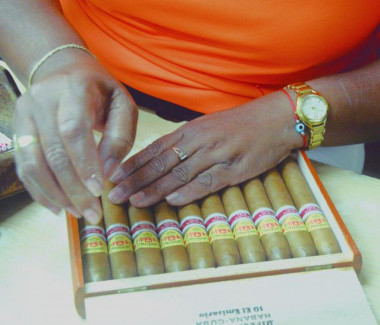 Producción tabacalera